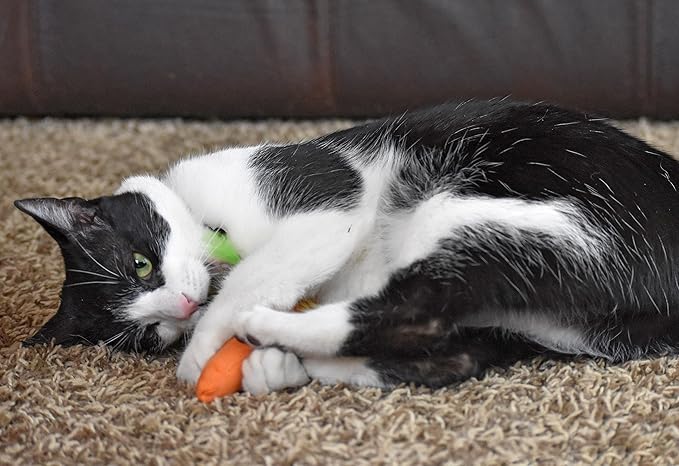 OurPets 100-Percent North American Catnip Filled Carrot Cat Toy 24 Karat