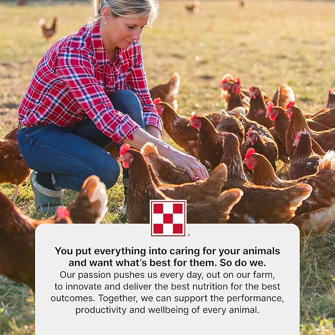 Purina Start & Grow | Nutritionally Complete Medicated Chick Feed Crumbles | 5 Pound (5 lb.) Bag