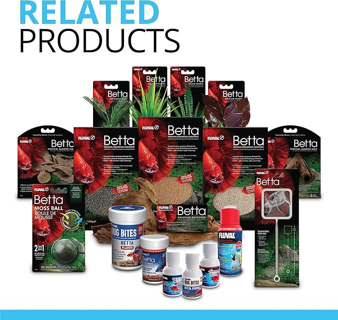 Fluval Betta Premium Aquarium Kit, 2.6 Gallon