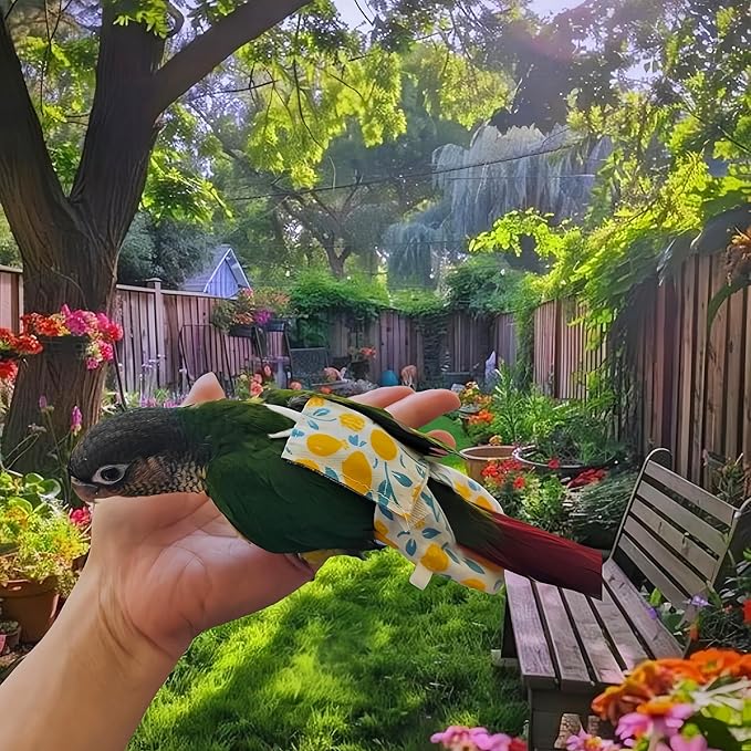 2Pcs Bird Diapers Bird Harness Flight Suits Diapers with 2Pcs 80 Inch Flying Leash Parrot Nappy Pigeon Pants Urine Wet Suit for Cockatiel Conure Macaw Budgies Parakeet-Bowknot&Lemon