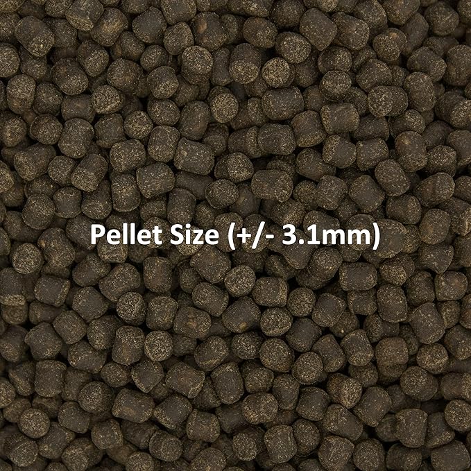 Ocean Nutrition Formula Two Pellets - Fish Food for Herbivorous & Omnivorous Marine Tropical Fish, High Protein(40%) - 14 oz (400 g) Medium Pellets