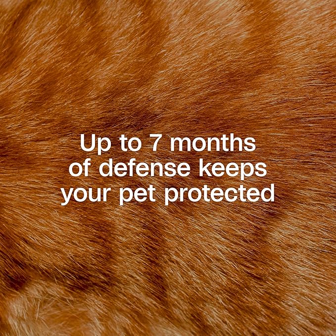 ADAMS Plus Flea & Tick Collar for Cats, Flea Collar for 14-Month Prevention, Adjustable Collar Fits Cats & Kittens, Kills Fleas & Ticks, 2 Count