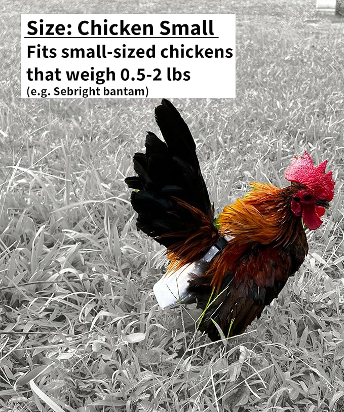 Chicken Diapers Duck Diaper Diaperalls for Hens, Roosters, Ducks, Ducklings - Reusable, Adjustable by Uni Infinity (Stars USA, Chicken Small, 1, Count)