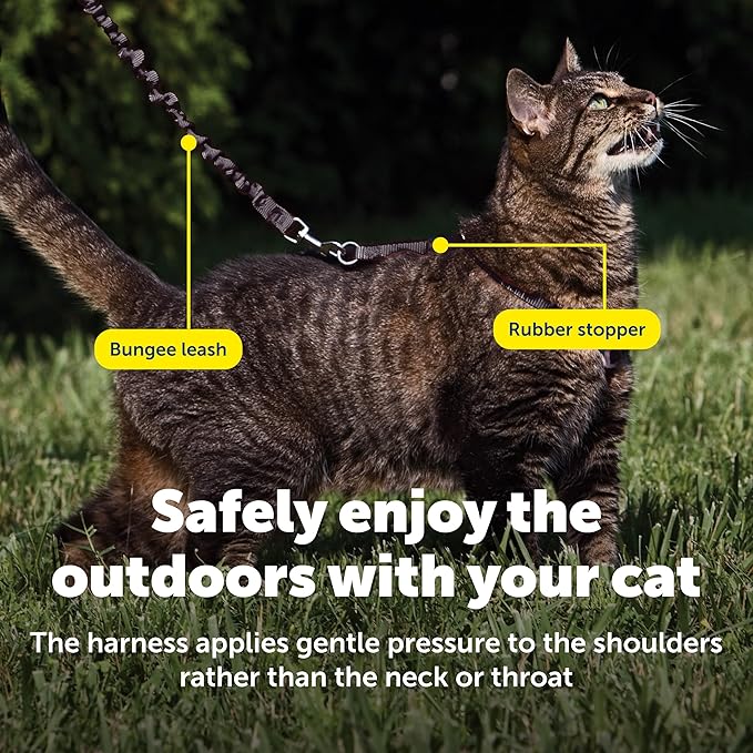 PetSafe Come with Me Kitty Harness and Bungee Leash, Large, Black