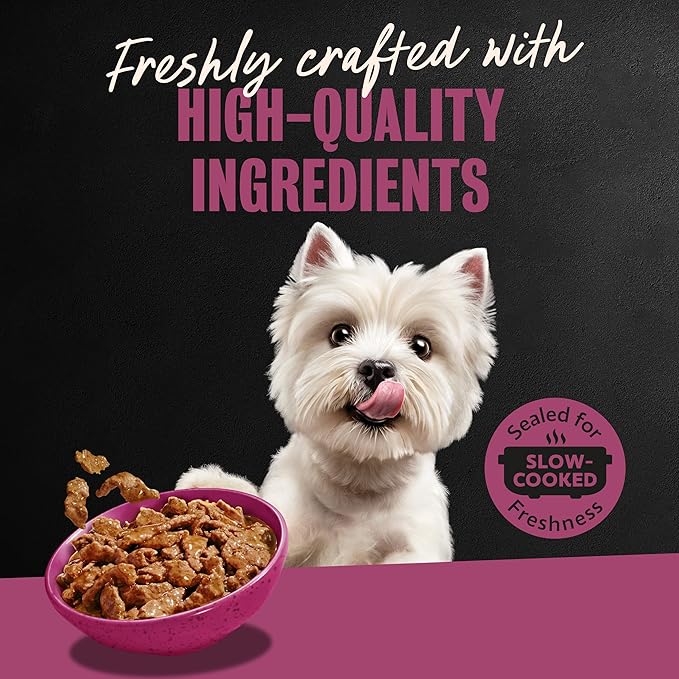 Cesar Filets in Gravy Adult Wet Dog Food Prime Rib Flavor, 3.5 oz. Easy Peel Dog Food Tray, 24 Count (Pack of 1)