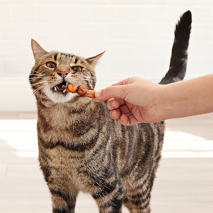 Good ‘n’ Tasty Triple Flavor Kabobs Cat Treat, 3 Ounce Bag, Long-Lasting Playtime Treat for Cats Made with Real Chicken, Salmon & Tuna, 6 Pack