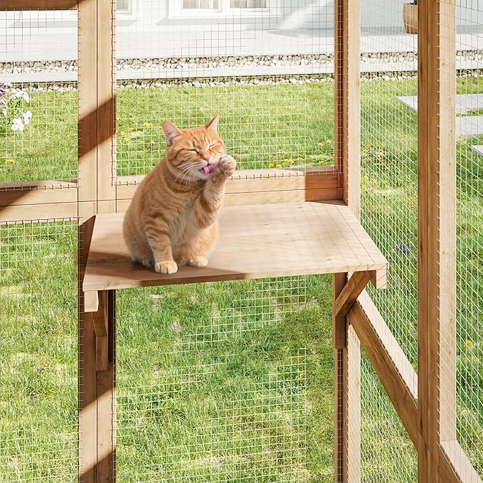 64 Inch Catio Outdoor Cat Enclosure, Large Cat House for Outdoor Cats with Updated Framework Structure, Outside Cat Patio Cattery Weatherproof for Multiple Cats, Natural