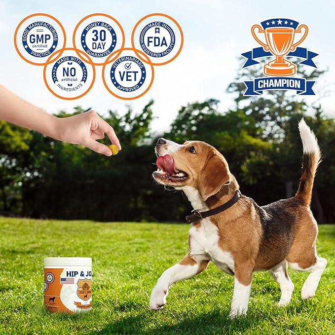 Old Dog's Barn Hip and Joint Supplement for Dogs, 9 oz, Vet-Formulated Formula with Glucosamine, Antarctic Krill Oil,Chondroitin, MSM, Green Lipped Mussel, Vitamins C&D, Omega 3, Beef fl,120 Chews