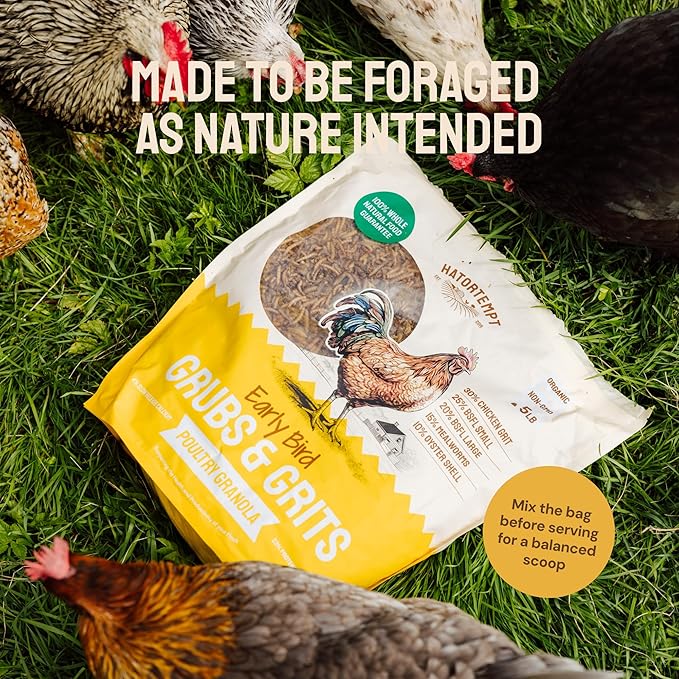 Hatortempt Chicken Feed Supplement - High-Protein Foraging Mix - Poultry Treats for Chickens - Calcium-Rich Poultry Grit for Shell Support - Dried Mealworms & Grubs for Enrichment - Bird Food (5lb)