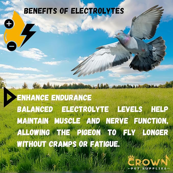 Electrolytes Plus Powder for Pigeons – Hydration & Recovery Supplement with Essential Minerals & Nutrients for Pigeons, Racing Pigeons and All Types of Pigeons & Birds