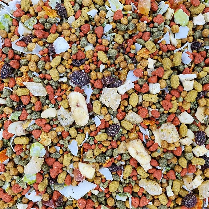 Higgins 2 Pack of Intune Harmony Food for Conures, Cockatiels, Lovebirds and Parrotlets, 2 Pounds Each