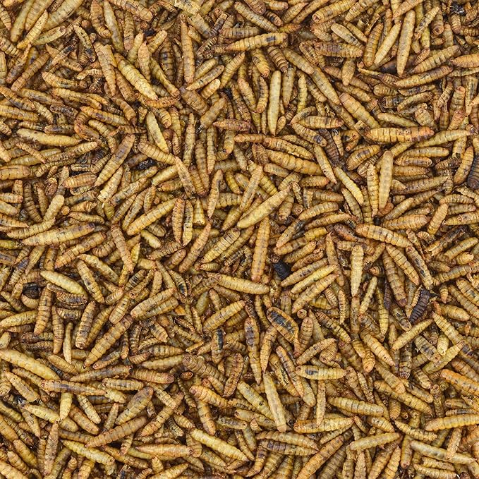 Worm Nerd WN62 2LB Dried Black Soldier Fly Larvae Non-GMO High Protein and Calcium Treat for Chickens, Birds, Reptiles, Amphibians, Fish