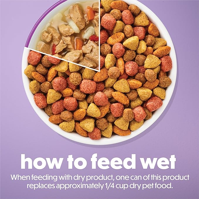 Purina Beneful Kitchen Creations With Beef and Garden Veggies in Sauce Wet Dog Food - (Pack of 12) 3 oz. Cans