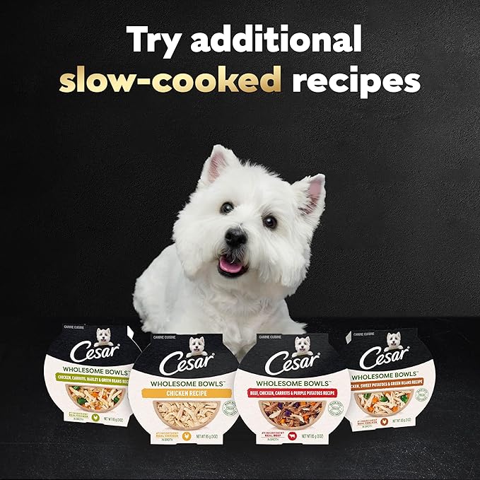 Cesar Wholesome Bowls Adult Wet Dog Food, Chicken, Recipe, Wet Food for Dogs, 3 Oz. Bowls, 10 Count