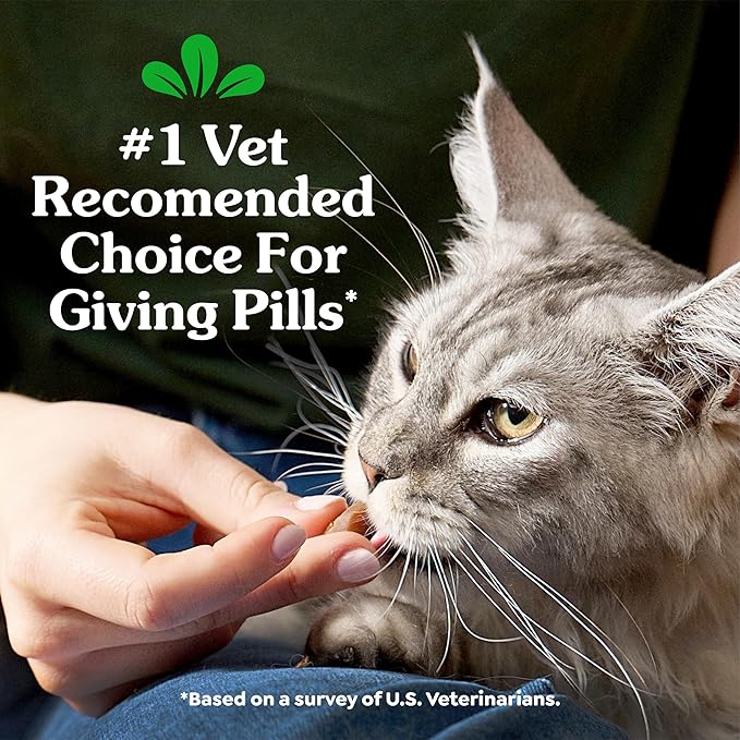 Greenies Feline Pill Pockets for Cats Natural Soft Cat Treats, Catnip Flavor, 1.6 oz. Pouch (45 Treats)