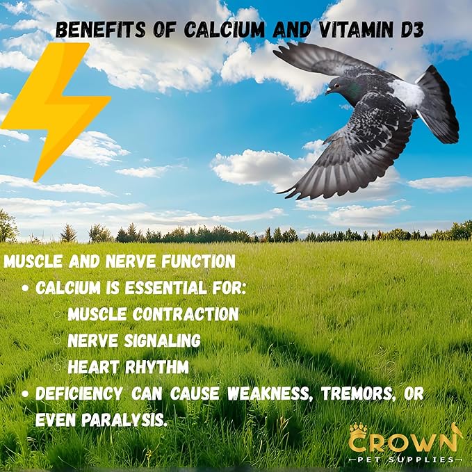Calcium with Vitamin D3 Powder Supplement for Pigeons – Supports Strong Bones, Healthy Eggs, and Feather Development – Easy-to-Mix Formula for Racing, Breeding, and Young Birds 100G