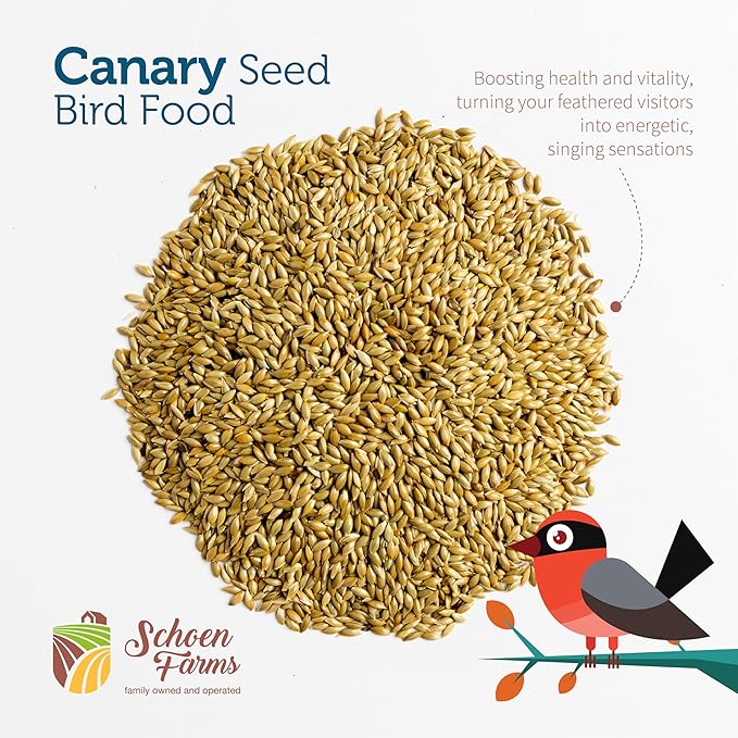 Premium Canary Seed ALPISTE (5 LBS)