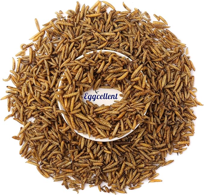Eggcellent 1Lb Calcium Fortified Dried BSF Larvae, Natural Perfect Treats for Poultry, 1.6 Ounce Bonus