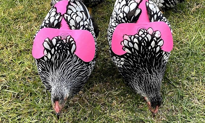 DOWN UNDER OUTDOORS 4 Pack Very Very Small PVC Chicken Saddles, Bantams, Young Birds
