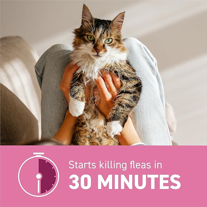 CAPSTAR Flea Treatment for Cats 2-25 lbs (12 Doses) + NEXTSTAR Flea and Tick Prevention for Cats Over 3.5 lbs (6 Doses) Bundle