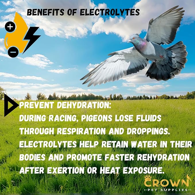 Electrolytes Plus Powder for Pigeons – Hydration & Recovery Supplement with Essential Minerals & Nutrients for Pigeons, Racing Pigeons and All Types of Pigeons & Birds