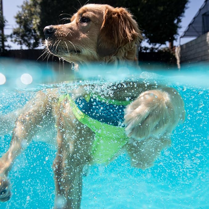 Outward Hound Standley Sport Dog Life Jacket, High-Performance Ripstop Dog Life Vest for Swimming, Boating, and Water Safety, XS, Green