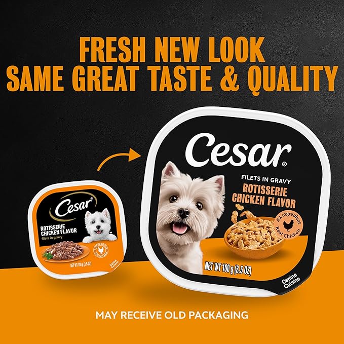 Cesar Filets in Gravy Adult Wet Dog Food, Rotisserie Chicken Flavor, 3.5 oz. Easy Peel Dog Food Tray, 24 Count (Pack of 1)