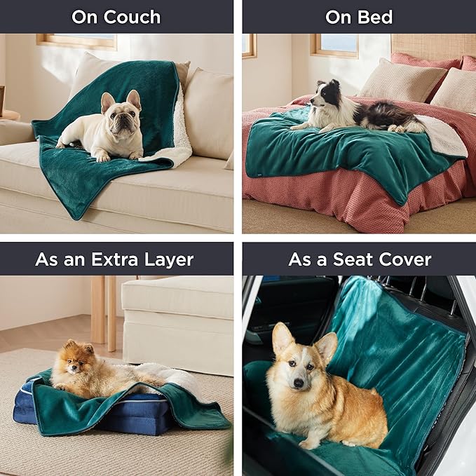 Bedsure Cat Blanket for Indoor Cats - Waterproof Calming Cat Blankets for Couch Protection, Sherpa Fleece Pet Blanket, Soft Plush Reversible Throw Furniture Protector, 50"x40", Green