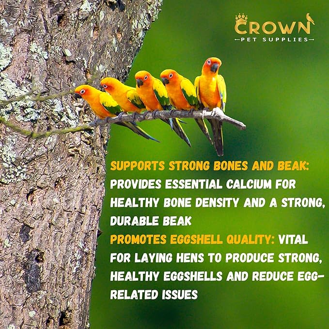 Avian Bone Boost – Calcium & Vitamin D3 Powder Supplement | Strong Eggshells & Healthy Bones | Ideal for Parrots, Parakeets, Cockatiels & All Cage Birds – Safe for All Birds