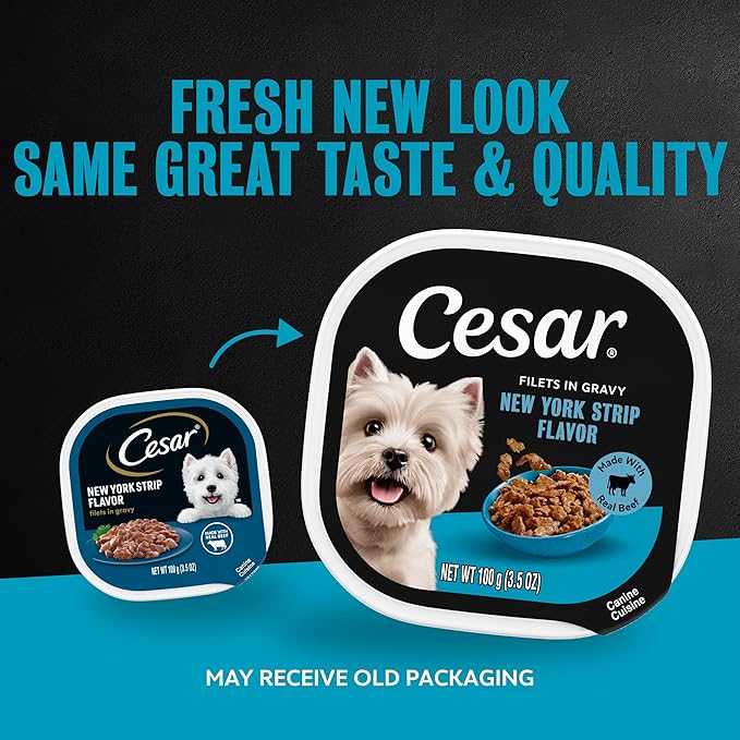 Cesar Filets in Gravy Adult Wet Dog Food New York Strip Flavor, 3.5 oz. Easy Peel Dog Food Tray, 24 Count (Pack of 1)
