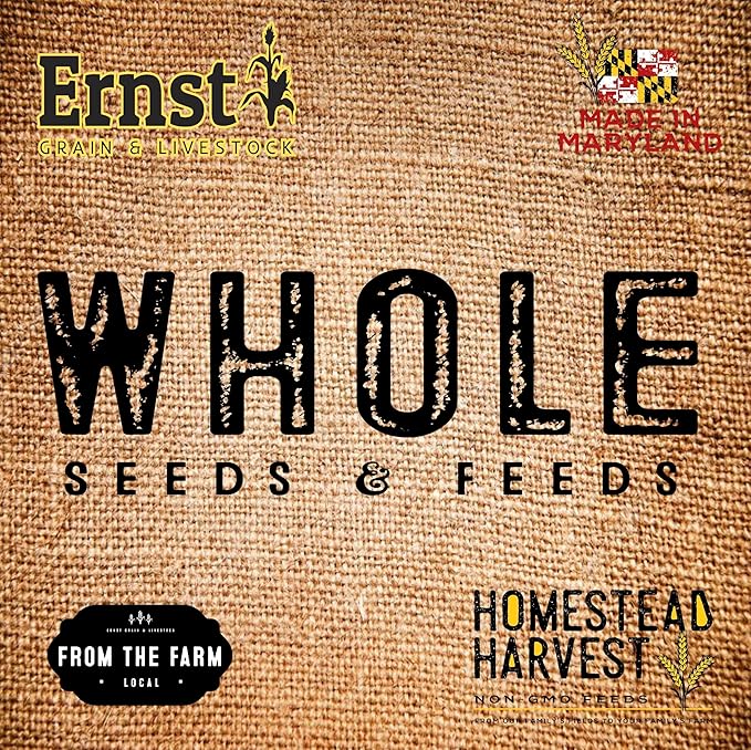 Ernst Grain & Livestock Cracked Corn, Non-GMO – Perfect Feed for Ducks, Squirrels, Chickens, Ducks, Deer, Rabbits, Geese, and More! (10 lb)