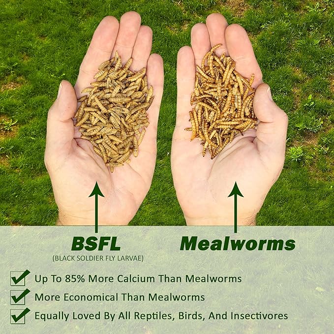 Exotic Nutrition 80 LB Bulk Dried Black Soldier Fly Larvae - High-Calcium Insect Treat - Chickens, Wild Birds, Bluebirds