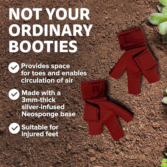 Chicken Shoes for Injured Feet – Protective Neoprene Footwear for Chicken, Open-Toe Design for Bumblefoot Relief, Made in USA (Chicken Shoes, Red, Medium Chickens)
