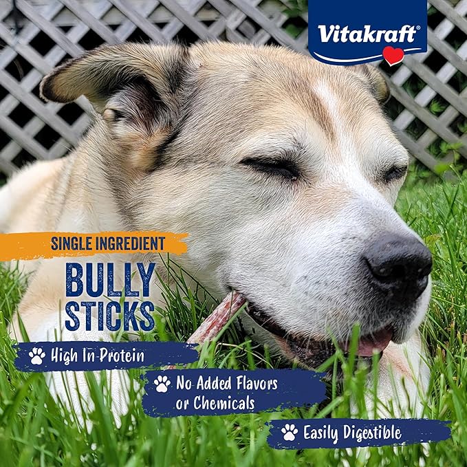 Vitakraft Dog Bully Sticks, 12 Inch, 5 Count, Thick, All-Natural Beef Chews for Dogs, 12 oz