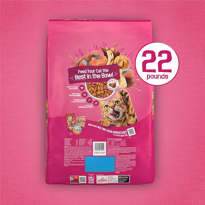 Purina Friskies Gravy Swirlers with Flavors of Chicken, Salmon and Gravy Dry Cat Food - 22 lb. Bag
