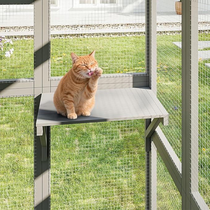 64 Inch Catio Outdoor Cat Enclosure, Large Cat House for Outdoor Cats with Updated Framework Structure, Outside Cat Patio Cattery Weatherproof for Multiple Cats, Grey