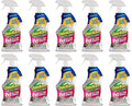 OdoBan Pet Solutions Oxy Stain Remover, Pet Stain Eliminator, Made in the USA, 10-Pack, 32 Ounce Spray Each