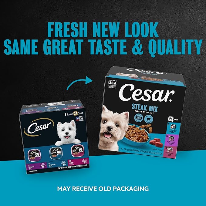 Cesar Filets in Gravy Adult Wet Dog Food Variety Pack, Filet Mignon, New York Strip, and Prime Rib Flavors, 3.5 oz. Easy Peel Dog Food Tray, 24 Count (Pack of 1)