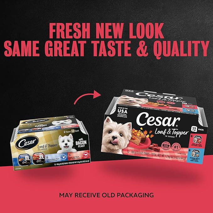 Cesar Loaf & Topper in Sauce Wet Dog Food Bacon Feast Variety Pack, Rotisserie Chicken with Bacon & Cheese and Angus Beef with Bacon & Cheese, 3.5 oz, Easy Peel Trays, 12 Count (Pack of 2)