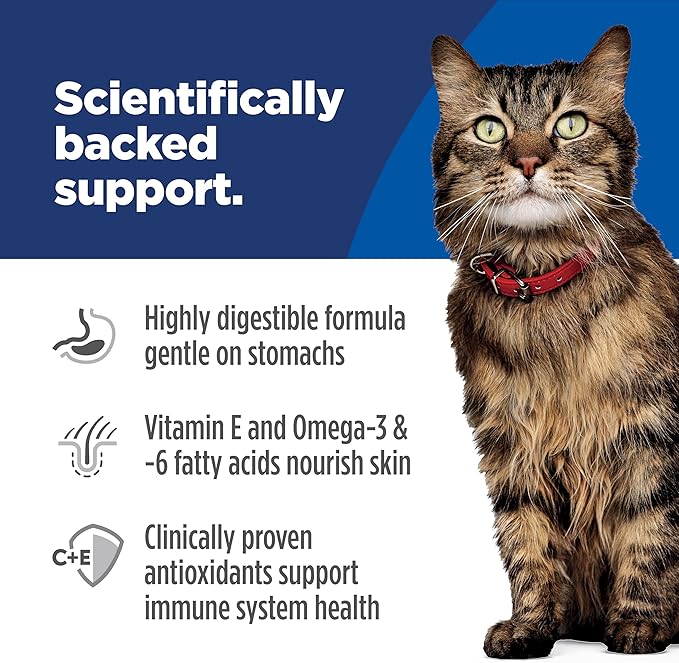 Hill's Science Diet Adult 1-6 Sensitive Stomach & Skin Dry Cat Food, Salmon Recipe, 13 lb. Bag