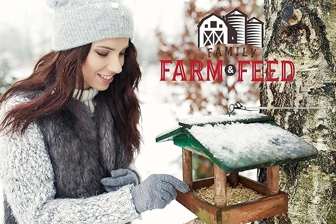 | Four Season | Black Oil Sunflower Seed | 4 Pounds | Wild Bird Food | Backyard Songbird