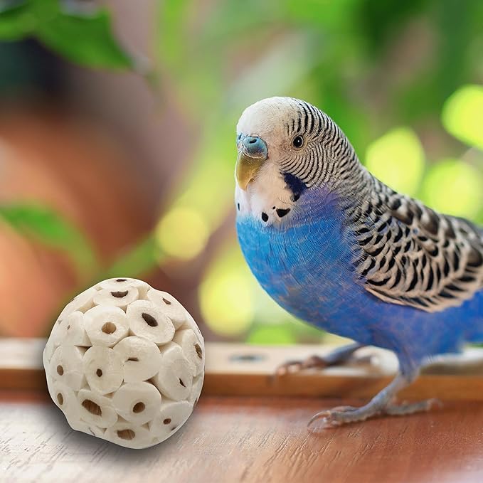 5122 Mini Sola Balls Pk6 - Small Size Natural Chewable Foot Toys, Air Dried Lightweight Foraging Sola Wood Balls, Easy to Shred and Chew, Excellent for Small Pets Budgie Cockatiel Lovebird Parrotlet