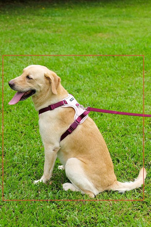 No Pull Dog Harness Leash and Collar Set, Soft Adjustable Dogs Vest Reflective and Comfortable Handle Pink Medium