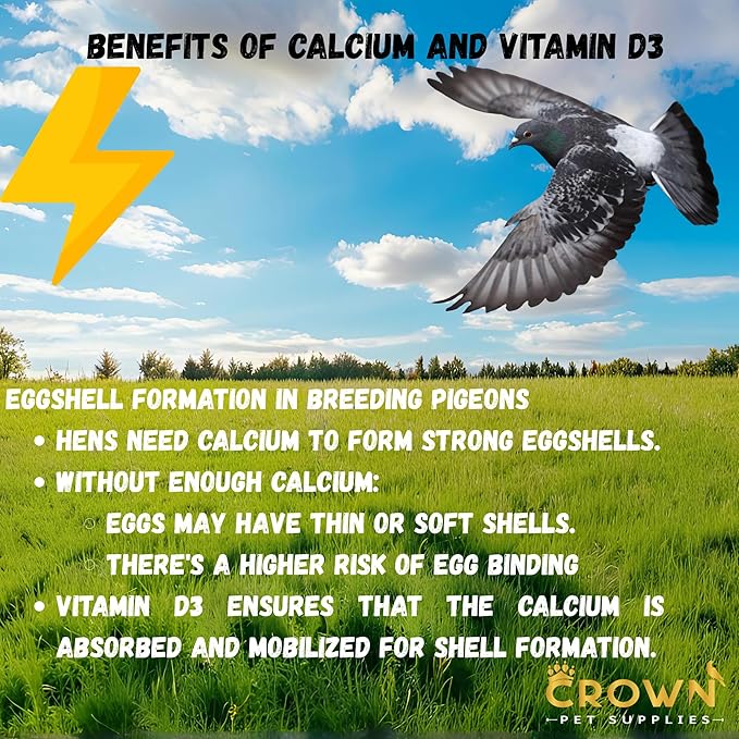 Calcium with Vitamin D3 Powder Supplement for Pigeons – Supports Strong Bones, Healthy Eggs, and Feather Development – Easy-to-Mix Formula for Racing, Breeding, and Young Birds 100G