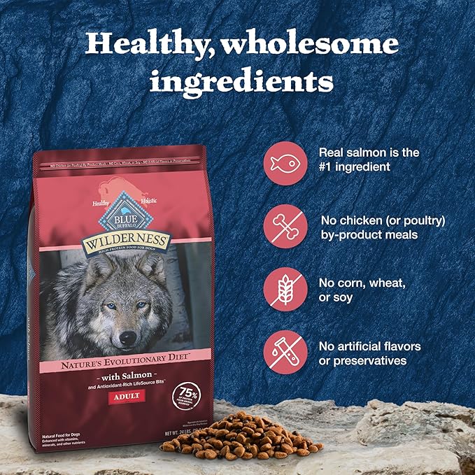 Blue Buffalo Wilderness Natural High-Protein Dry Food for Adult Dogs, with Wholesome Grains, Salmon, 24-lb. Bag