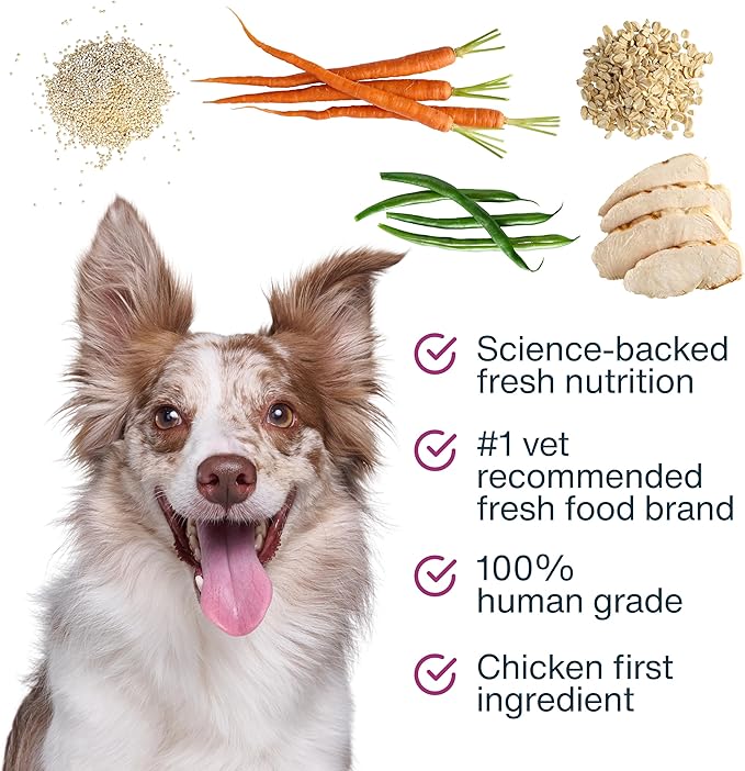 JustFoodForDogs JustFresh Boosts Hip & Joint Support Dog Food Topper with Glucosamine, Bone Broth, and Omega-3 Fatty Acids, 8 oz Pouches - 8 Pack
