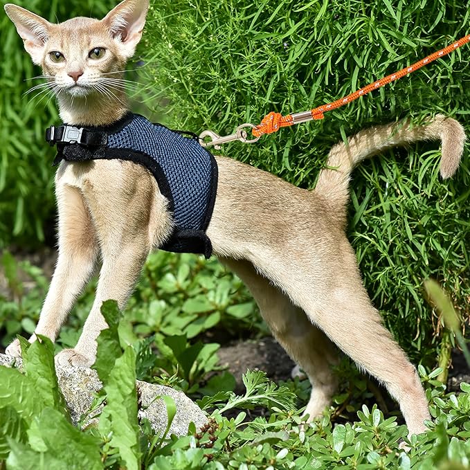 Reflective Cat Leash, 15ft Escape Proof Walking Lead Yard Long Leash, Extender Leash Training Playing Outdoor for Cats Puppy Kitten Small Dogs Rabbit Small Animals