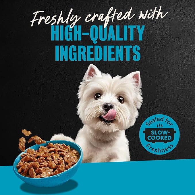 Cesar Filets in Gravy Adult Wet Dog Food New York Strip Flavor, 3.5 oz. Easy Peel Dog Food Tray, 24 Count (Pack of 1)
