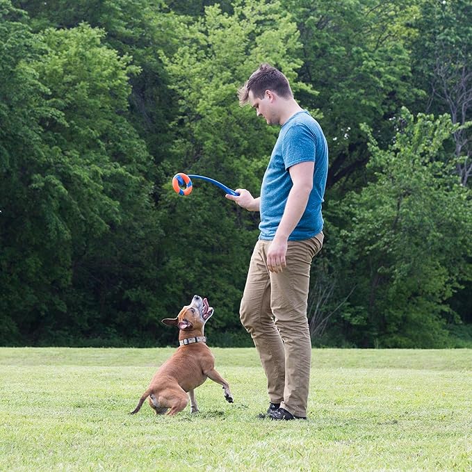 Chuckit! Ring Chaser Dog Ball Launcher Dog Toy Set, 22 Inch Length with 4.5 Inch Dog Ball Ring