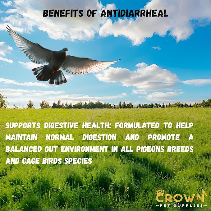 Avian Gut Health & Digestive Support – Multi-Strain Probiotic Blend, Natural Intestinal Balance Supplement for All Birds, Promotes Healthy Digestion & Immune Function
